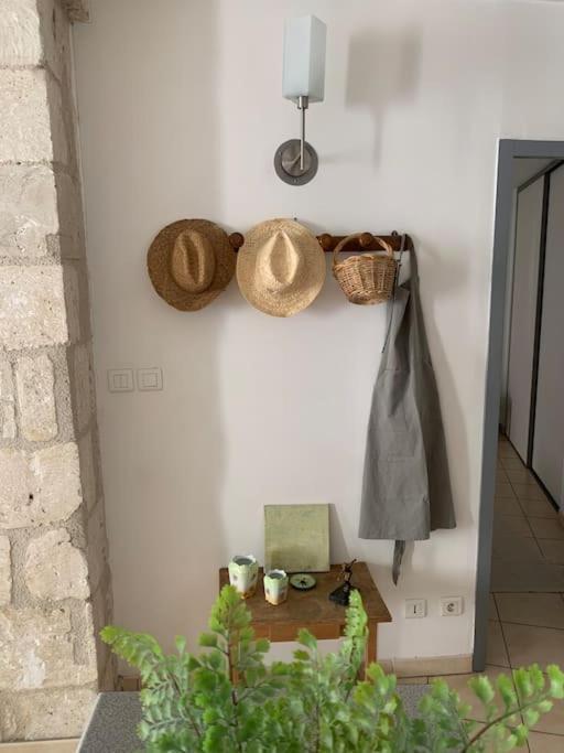 Le Provencal - Hyper Centre - Wifi Apartment Avignon Exterior photo